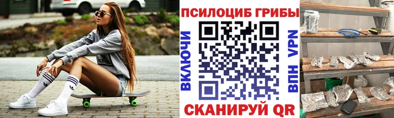 наркота  Саянск  Галлюциногенные грибы ЛСД 